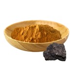 AMULYN纯天然Shilajit提取物黄腐酸粉末/Shilajit胶囊