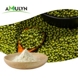 Hydrolyzed Mung Bean Protein Concentrate Vegan Mung Bean Protein Powder