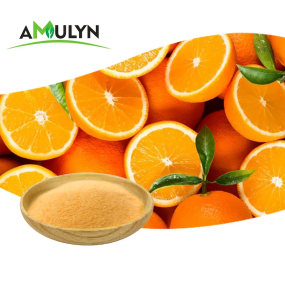 Orange Powder for Drink Orange Juice Instant Powder