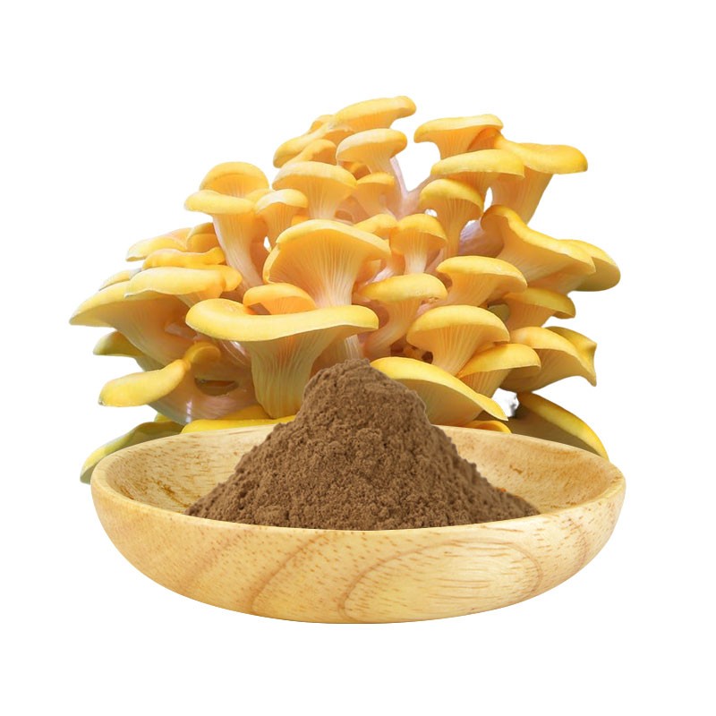 AMULYN Food Grade Natural High Quality Pleurotus Citrinopileatus Golden Oyster Mushroom Extract Powder Ergothioneine Powder
