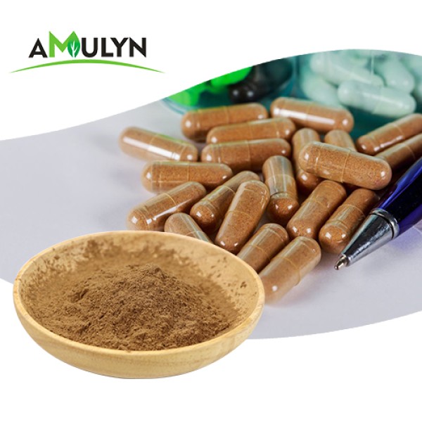 Wholesale Food Grade Passion Flower Extract Powder High Quality Herbal Extract in Vacuum Packed Drums