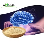 AMULYN Food Grade Soy Phosphatidylserine Lecithin Extract 20% 50% Powder Herbal Additives From Seed Packaged in Drum Mason Jar