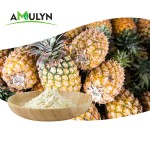 Pure 100% Natural Spray Dried Freeze Dried Pineapple Fruit Powder
