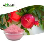 AMULYN Organic Freeze Dried Pomegranate Juice Powder