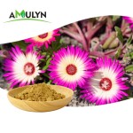 AMULYN纯Kanna粉末Kanna白菖蒲提取物50:1 100:1
