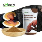 有机红灵芝灵芝粉灵芝提取物多糖30% 40% 50%