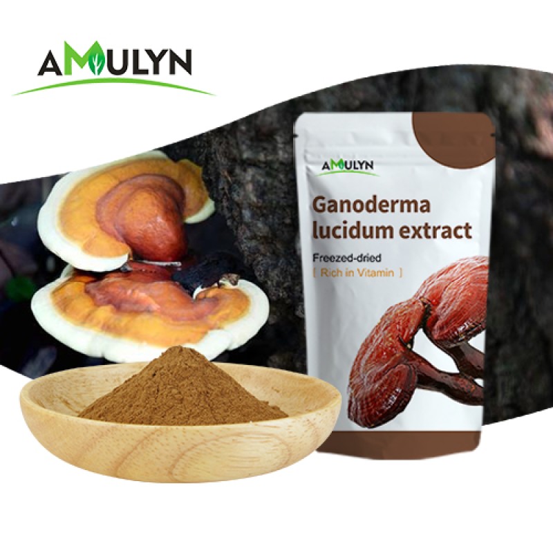 Organic Red Ling Zhi Reishi Mushroom Powder Ganoderma Lucidum Extract Polysaccharide 30% 40% 50%
