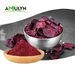 Amulyn食品植物提取物营养补充剂100%天然纯甜菜根提取物