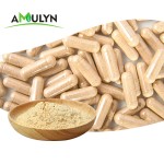 AMULYN Sunflower Lecithin Powder Sunflower Seed Extract 20% 50% 70% Phosphatidylserine Powder