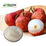 Litchi Fruit Powder Litchi Powder Pure Nature With Top Grade