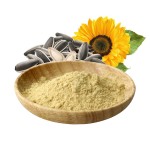 Sunflower Lecithin Powder Sunflower Seed Lecithin Powder