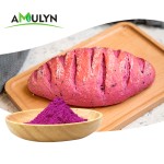 AMULYN Vacuum Spray Dried Freeze Dried Red Dragon Fruit Powder