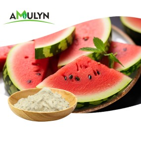 AMULYN High Quality Plant-Based Watermelon Seed Extract Protein Powder Natural Food Additives
