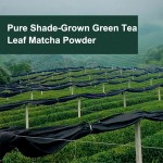 AMULYN Private Label Ceremonial Grade Matcha Green Tea Powder