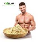 Chocolate Flavor Pea Protein Powder Hydrolyzed Pea Protein Pea Protein Isolate Powder