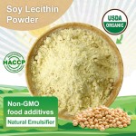 Sunflower Lecithin High Quality Organic Sunflower Lecithin Powder 25kg Bulk Sunflower Lecithin Price for Food Supplements