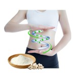 AMULYN食品级益生菌粉散装冷冻干燥乳酸双歧杆菌白色粉末肠道健康