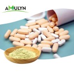 天然胡椒根提取物卡瓦提取物粉卡瓦内酯10% 30%