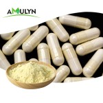 Sunflower Lecithin Powder Sunflower Seed Lecithin Powder