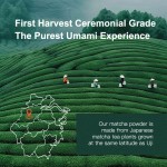 AMULYN Private Label Ceremonial Grade Matcha Green Tea Powder