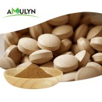 有机红灵芝灵芝粉灵芝提取物多糖30% 40% 50%