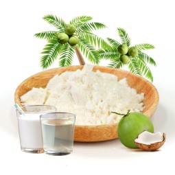 AMULYN椰水粉浆喷雾干燥椰奶粉椰粉