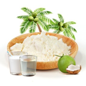 AMULYN Coconut Water Powder Pulp Spray Dried Coconut Milk Powder Coconut Powder