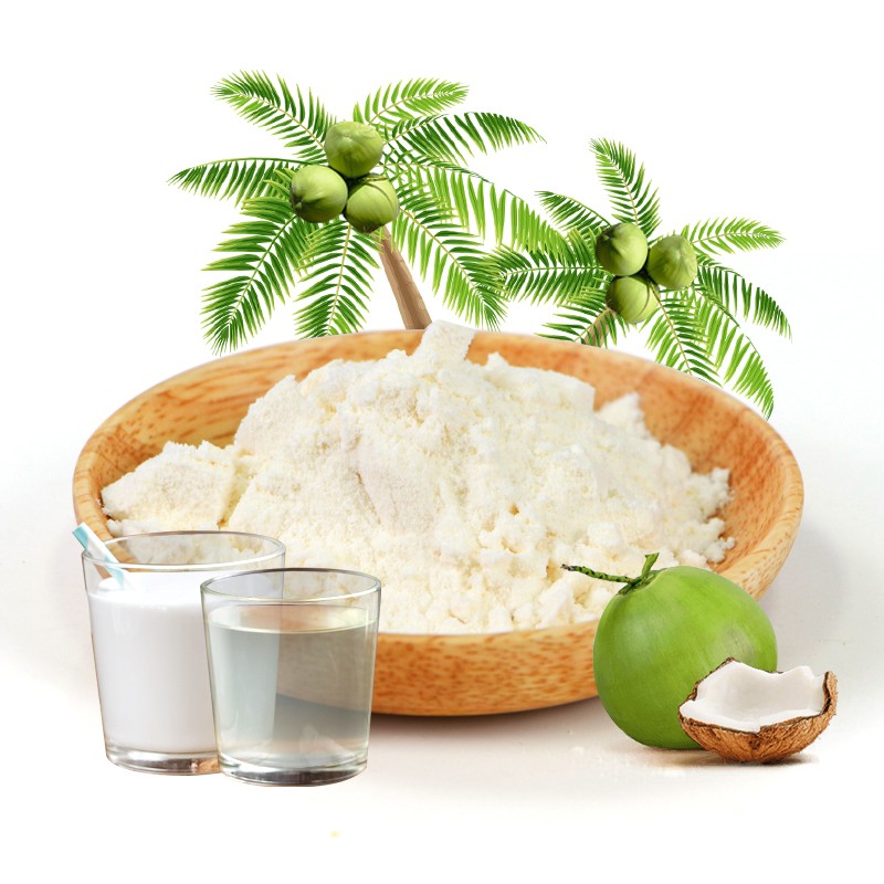 AMULYN Coconut Water Powder Pulp Spray Dried Coconut Milk Powder Coconut Powder
