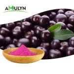 Natural Freeze Dried Acai Berry Fruit Powder Brazil Freeze Dried Powder