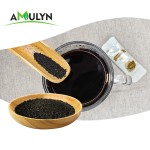 AMULYN Supply Wholesale Food Grade Chaga Black Gold Powder Tea Bags Natural Chaga Extract Granules