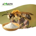 AMULYN High Quality Natural Drone Pupa Extract Powder Food Additives Supplements