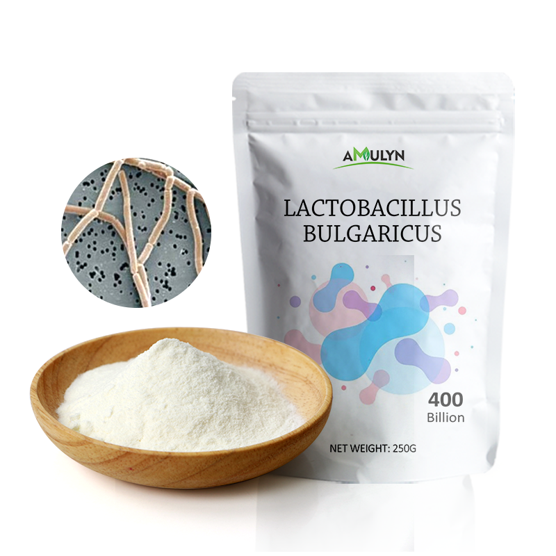 AMULYN Food Supplement Probiotics Lactobacillus Bulgaricus Powder
