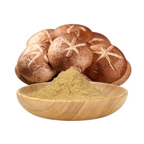 AMULYN Organic Pure Powder  OEM Shiitake Mushroom Extract Powder