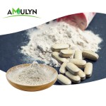 AMULYN Pure Natural Gluten Free Vegan Hydrolyzed Organic Rice Protein Powder