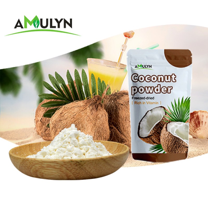 Vegetarian Diet Coconut Milk Powder for Beverage 100%