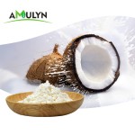 Organic Instant Coconut Powder Coconut Milk Powder Coconut Ice Cream Powder
