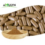 Wholesale Food Grade Passion Flower Extract Powder High Quality Herbal Extract in Vacuum Packed Drums