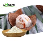 AMULYN Natural Coconut Extract Powder Fitness Supplement with High Protein Content Food Additive Coconut Protein Powder