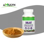 AMULYN纯天然Shilajit提取物黄腐酸粉末/Shilajit胶囊