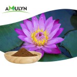 AMULYN纯Kanna粉末Kanna白菖蒲提取物50:1 100:1