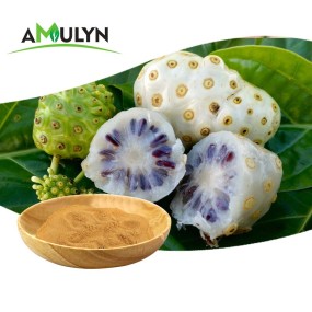 Amulyn Factory Supply Food Grade Noni Extract Powder Best Price Natural Noni Fruit Juice Powder Vitamin Available Bottle Drum