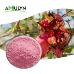 AMULYN Organic Freeze Dried Pomegranate Juice Powder