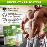 AMULYN Protein Boost Supplement NON-GMO Gluten Free Vegan Protein Blend Powder Rice Pea Protein Isolate