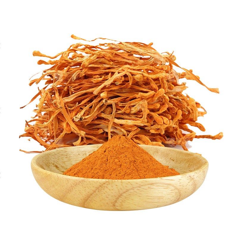 AMULYN Wholesale Cordyceps Polysaccharide Powder Cordyceps Militaris Mushroom Extract