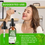Sea Moss Drops Supplier - OEM Black Seed Oil Vitamins Antioxidants