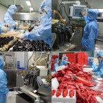 Muscle Building Chews Supplier - OEM Dog Supplement Gain Health Care