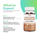 Lion's Mane Gummies Supplier - OEM Complex Brain Boost Herbal