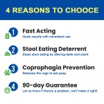 Digestive Boost Chews Manufacturer - OEM No Poo Soft Chews Immune