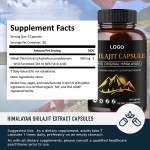 Shilajit Capsules Manufacturer - OEM Energy Boosting Immune Support