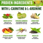 Garcinia Cambogia Drops Factory - OEM Appetite Suppressant Metabolism